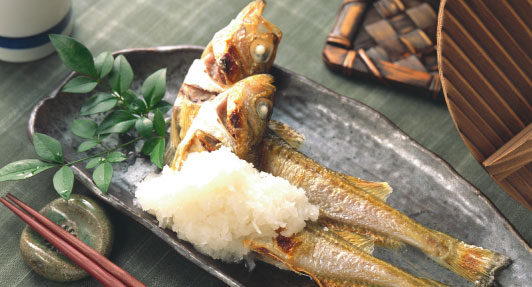 ���C�������߁@�Ƃ��Ă������ȏ��t���ɃZ�b�g